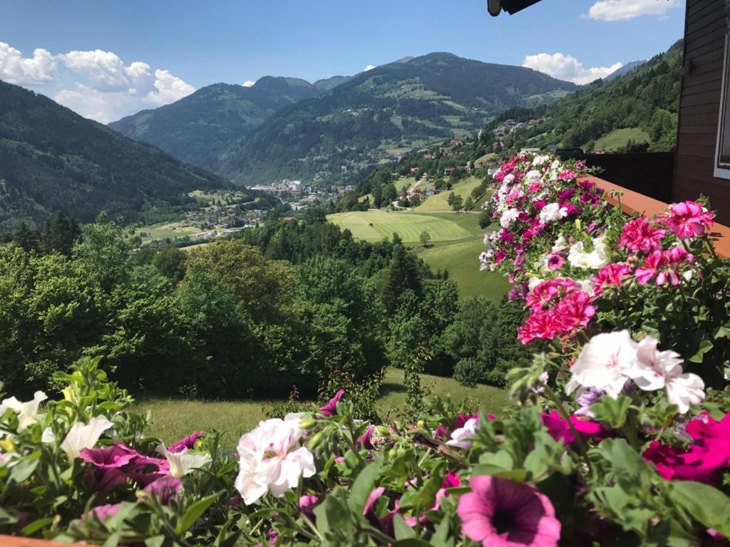 Appartement Landhaus Schonblick à Radenthein Extérieur photo